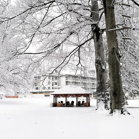 Parkhotel Hirschwang رايشناو المظهر الخارجي الصورة